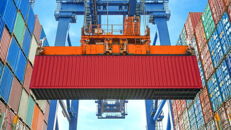 DÜZCE'DEN AB ÜLKELERİNE 11 BİN 71 TON FINDIK İHRAÇ VERİLDİ 