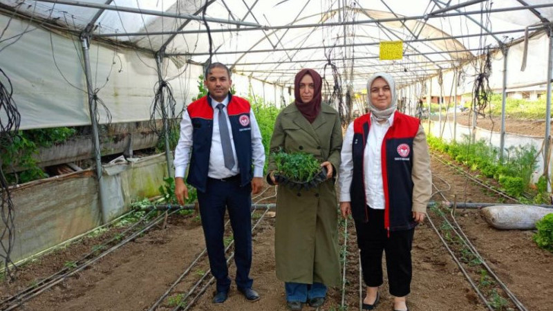 KADIN ÇİFTÇİLERE FİDE DESTEĞİ