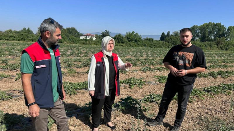 KİRAZLI KÖYÜ'NDE GENÇ ÇİFTÇİDEN ÖRNEK TARIM UYGULAMASI