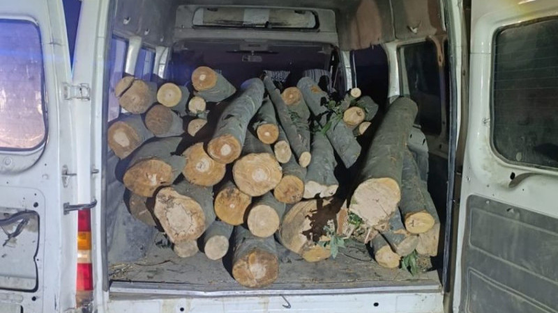 1 TON KAÇAK ORMAN ÜRÜNÜ ELE GEÇİRİLDİ 