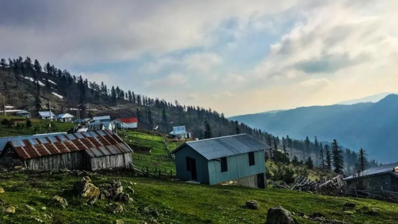 DÜZCE'DE 88. GELENEKSEL KARDÜZ YAYLASI ŞENLİKLERİ ERTELENDİ