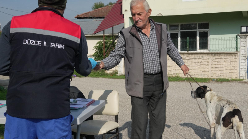 KIRSALDA YERİNDE SAHİPLENDİRME VE KISIRLAŞTIRMA HİZMETİ