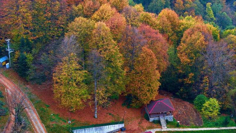 GÜZELDERE ŞELALESİ TABİAT PARKI'NDA SONBAHAR RENKLERİ
