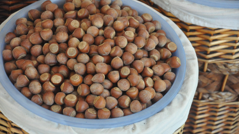 TİCARET BORSALARINDA SEZONUN İLK 4 AYI NASIL GEÇTİ?