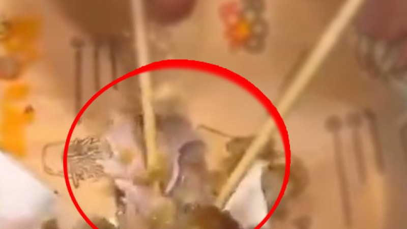 FAST FOOD ZİNCİRİNDE MİDE BULANDIRAN MANZARA