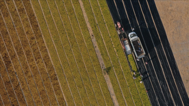 KREDİLERDEN YARARLANMA ŞARTLARI BELİRLENDİ 