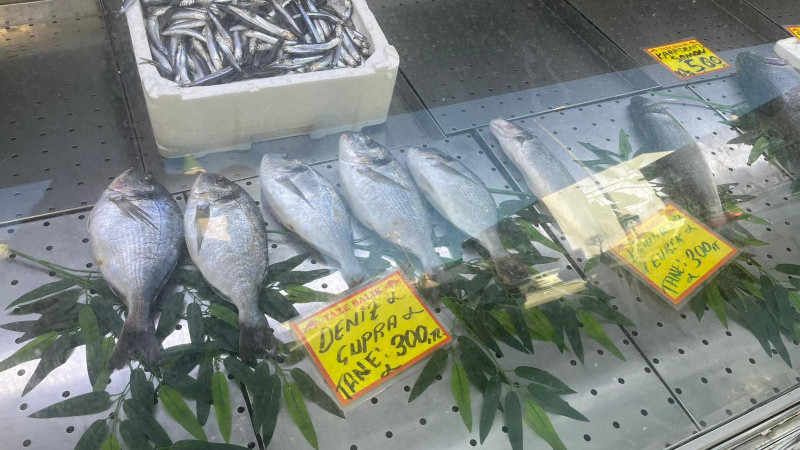 HAMSİ SEZONUNDA SONA YAKLAŞILDI