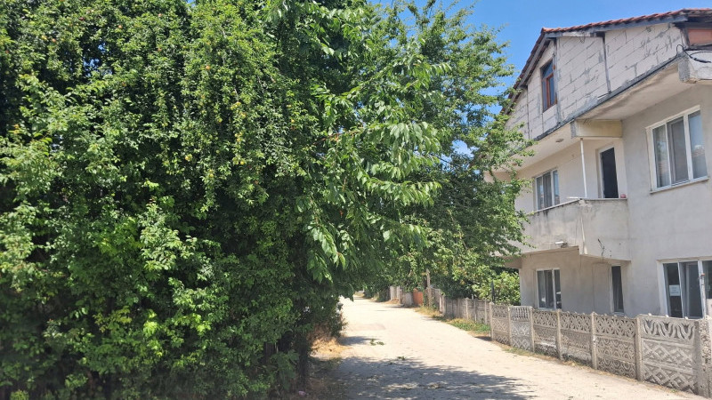 UZAYAN AĞAÇ DALLARI MUHTARI HAREKETE GEÇİRDİ