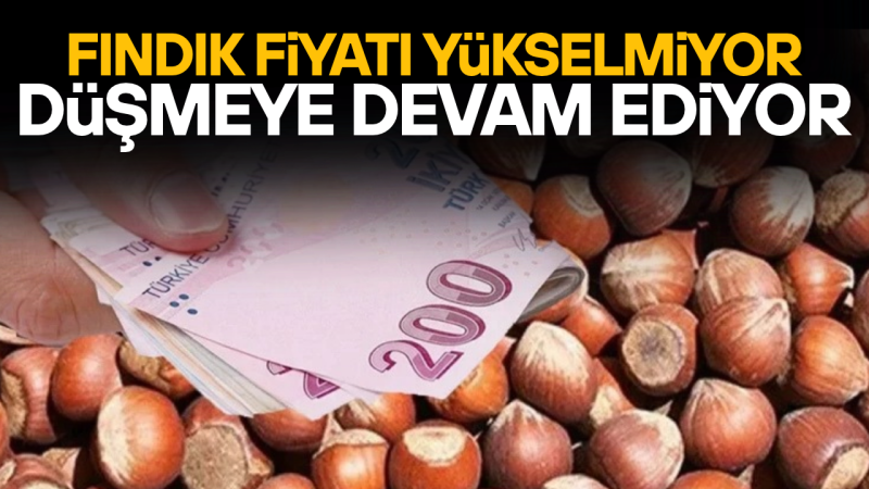 FINDIK ÜRETİCİSİ KARA KARA DÜŞÜNÜYOR