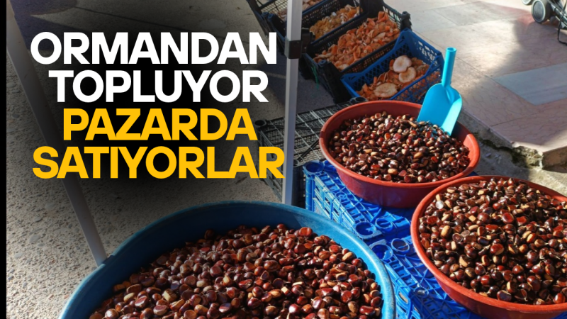 KESTANE VE MANTAR DÜZCELİLERDEN YOĞUN İLGİ GÖRÜYOR