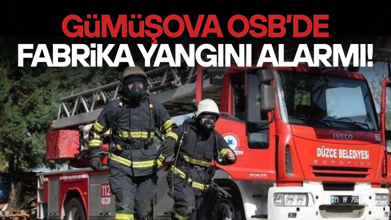 DÜZCE'DE EKİPLER HAREKETE GEÇTİ