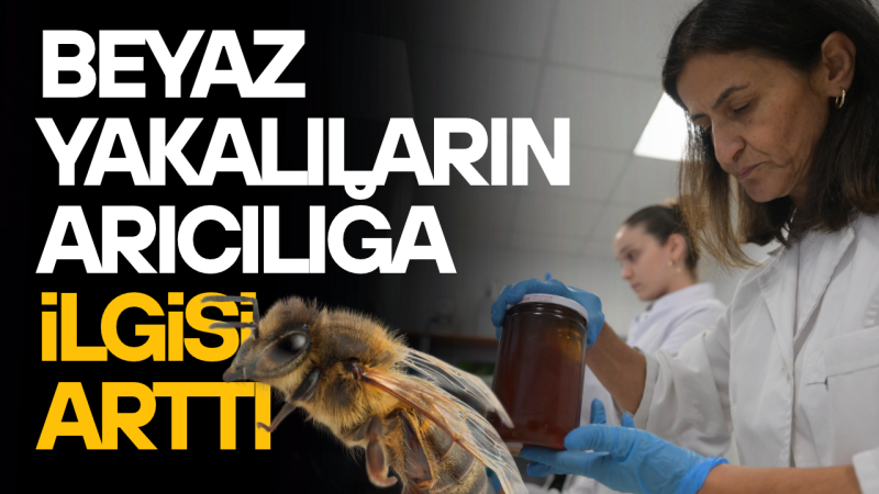 BEYAZ YAKALI ÇALIŞANLARIN ARICILIĞA İLGİSİ ARTTI