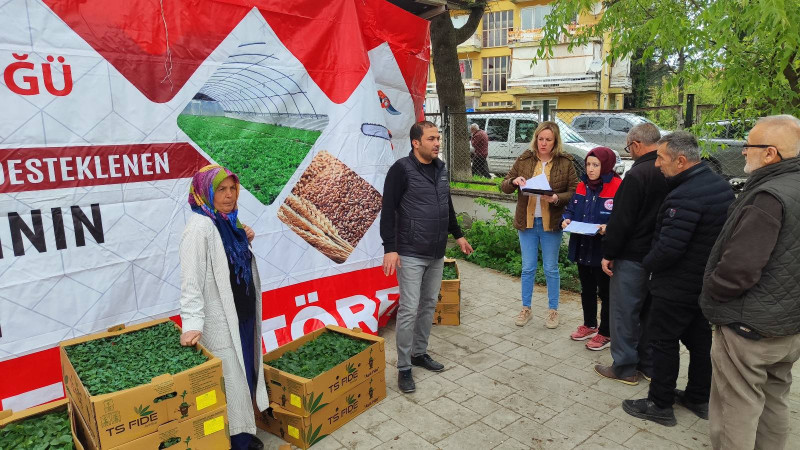 ÇİFTÇİLERE 96 BİN FİDE DAĞITILDI