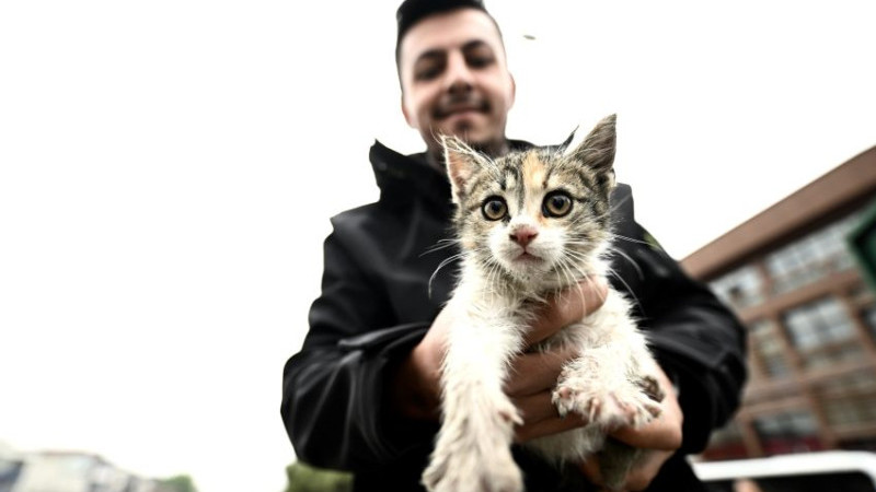 DEREDEN KURTARILAN YAVRU KEDİYİ TAKSİCİ SAHİPLENDİ