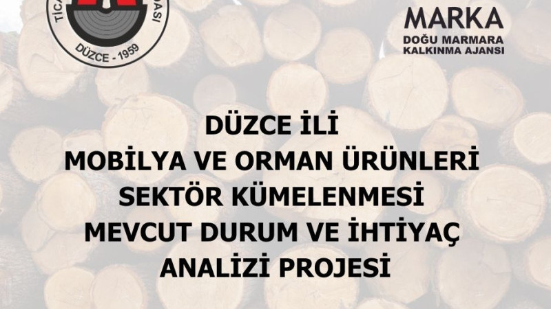 MOBİLYA VE ORMAN ÜRÜNLERİ SEKTÖRÜ İÇİN İHTİYAÇ ANALİZİ YAPILACAK