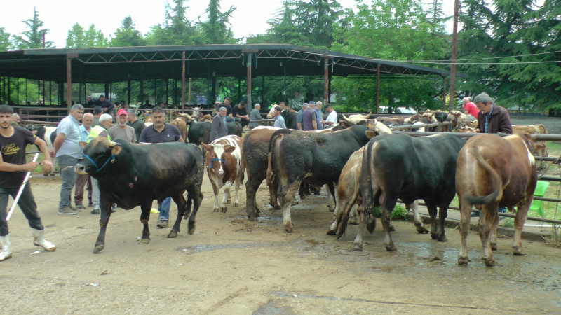 KURBAN BAYRAMI ÖNCESİ HARAKETLİLİK SÜRÜYOR