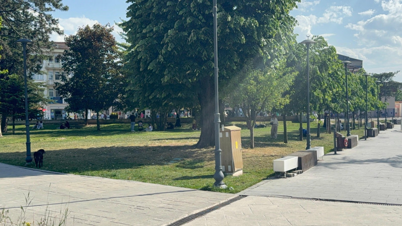 ÇOCUKLARDA BÖCEK ISIRMALARINA DİKKAT   