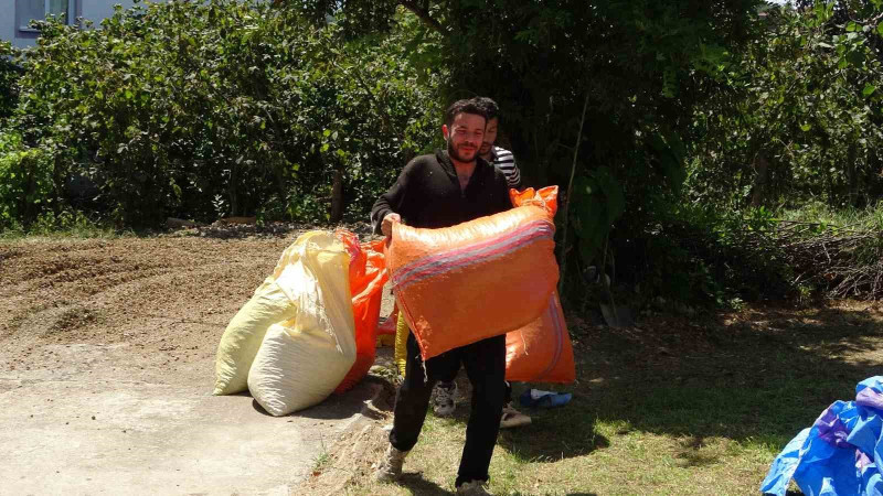 FINDIKTA PATOZ MESAİSİ BAŞLADI: SAATLİK ÜCRETİ 4 - 4 BİN 500 TL