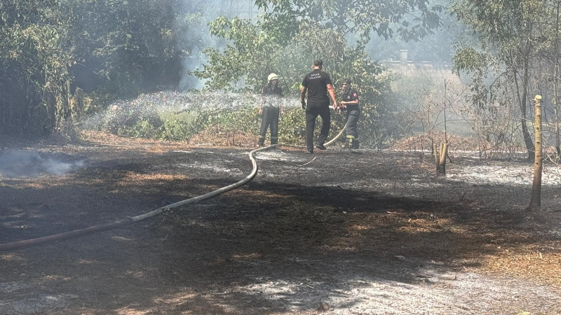 DÜZCE'DE OTLUK ALANDA YANGIN
