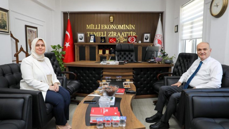 KIRSAL KALKINMANIN HIZLANMASINI KONUŞTULAR 