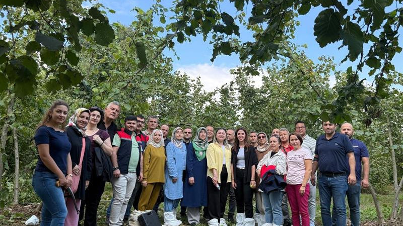 DÜZCE'DE FINDIĞIN VERİM VE KALİTESİ ARTIRILACAK