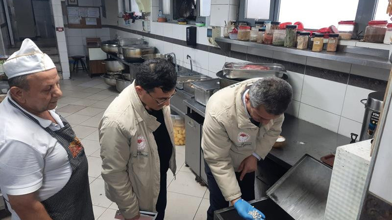 YOL ÜZERİ GIDA İŞLETMELERİNE DENETİM