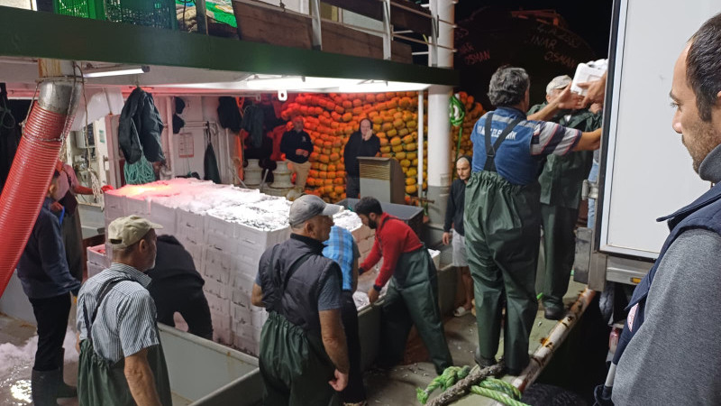 AKÇAKOCA’DA HAMSİ DENETİMİ SÜRÜYOR