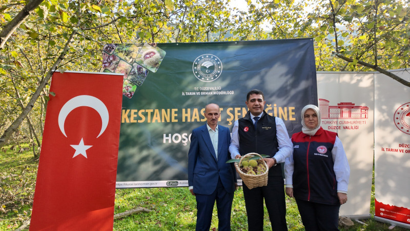 DAĞDİBİ KÖYÜ’NDE “DÜZCE KESTANESİ” HASAT ŞENLİĞİ DÜZENLENDİ