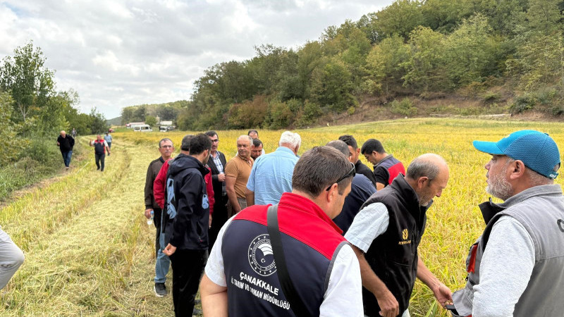 ÇANAKKALE’DE ÇELTİKTE DAMLAMA SULAMAYI İNCELEDİLER   