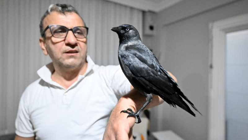 ŞAŞIRTAN DOSTLUK…