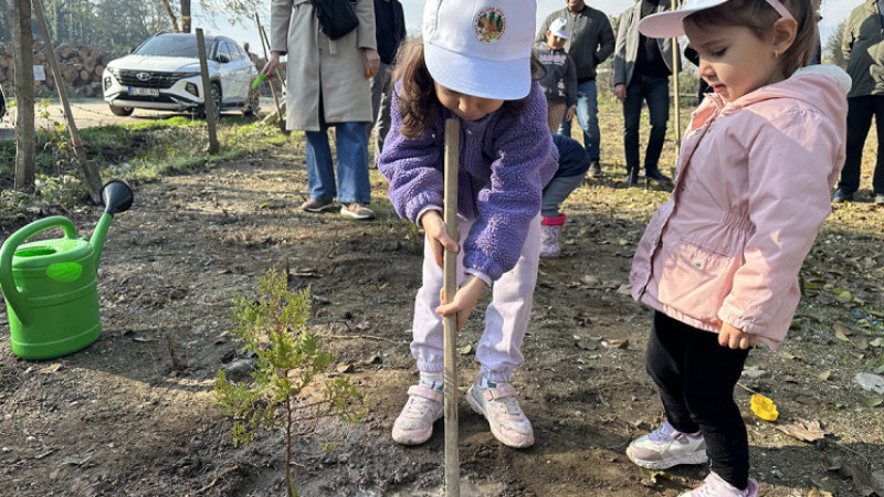 DÜZCE VE İLÇELERİNDE FİDANLAR TOPRAKLA BULUŞTU