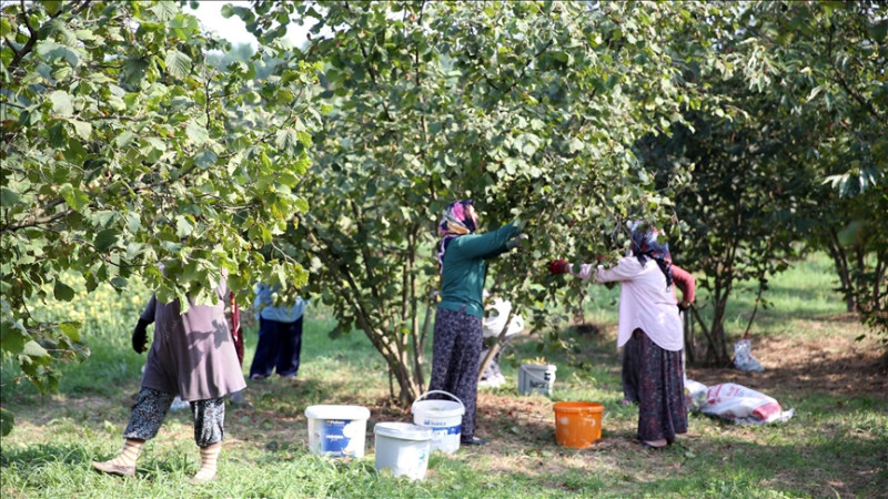 ÜRETİCİ DERTLİ, İHRACATÇI KEYİFLİ