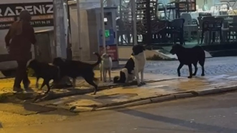 ‘YOLDA YÜRÜMEYE KORKAR OLDUK’ 