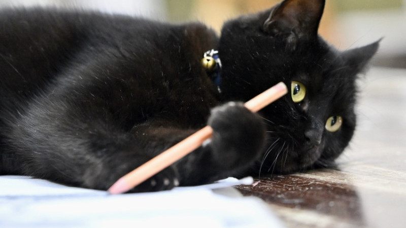 RESİM DERSLERİNE EŞLİK EDİYOR