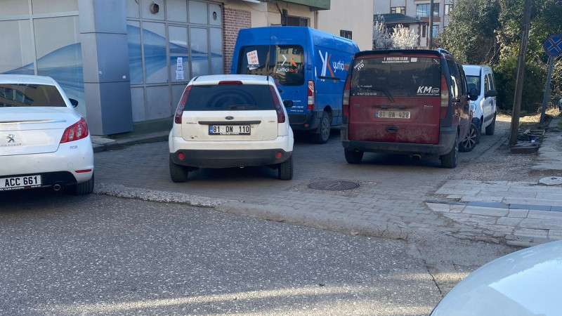 KARGO ŞİRKETİ ARACI, SOKAK SAKİNLERİNİ BEZDİRDİ