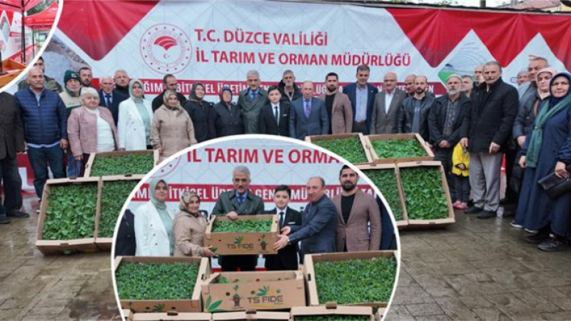 300 ÜRETİCİYE 110 BİN FİDE DESTEĞİ