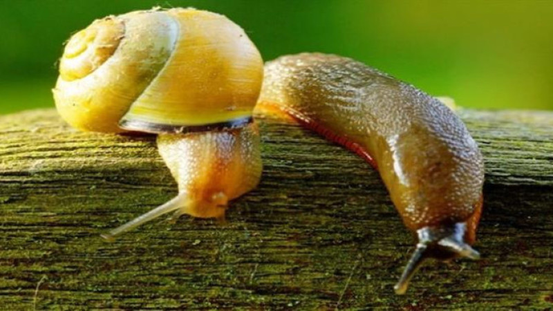 DÜZCELİ ÜRETİCİLERE KRİTİK UYARI