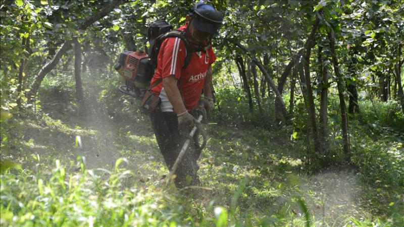 TIRPAN ÜCRETLERİ ÜRETİCİNİN CEBİNİ YAKIYOR