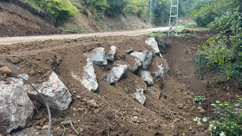 GÜMÜŞOVA’DA HEYELAN